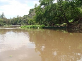 Rio Gravataí é o quinto mais poluído do Brasil