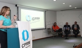 A Engenheira da Metroplan, Fernanda Garcia Hochwart, participou do evento.